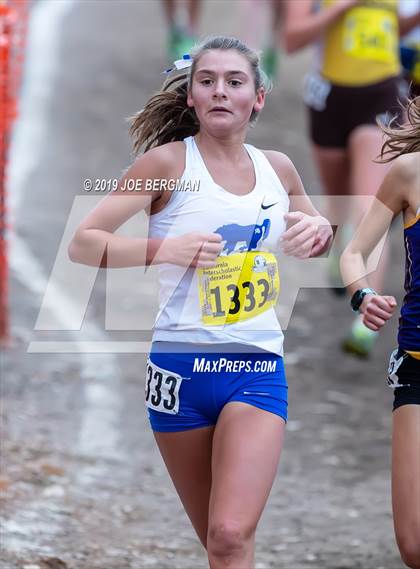 Thumbnail 2 in CIF State Cross Country Championships (Girls D1 Race) photogallery.