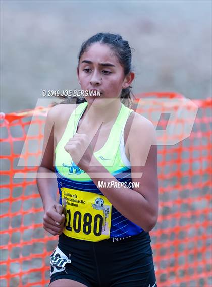 Thumbnail 3 in CIF State Cross Country Championships (Girls D1 Race) photogallery.