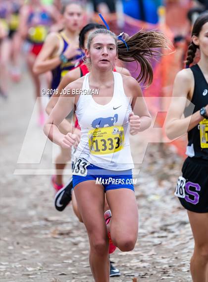 Thumbnail 2 in CIF State Cross Country Championships (Girls D1 Race) photogallery.