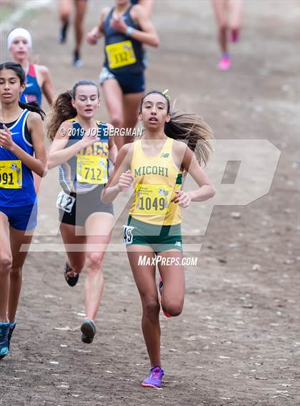 Thumbnail 2 in CIF State Cross Country Championships (Girls D1 Race) photogallery.