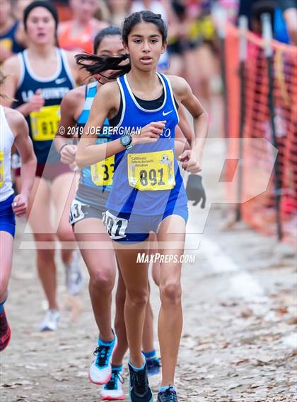 Thumbnail 2 in CIF State Cross Country Championships (Girls D1 Race) photogallery.