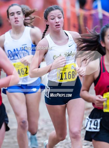 Thumbnail 1 in CIF State Cross Country Championships (Girls D1 Race) photogallery.