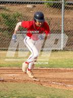 Photo from the gallery "South El Monte @ Marshall"