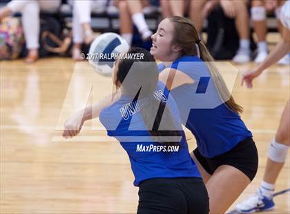 Thumbnail 2 in New Braunfels @ Boerne-Champion photogallery.
