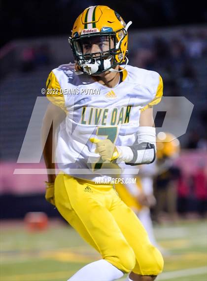 Thumbnail 3 in Live Oak @ Lincoln photogallery.