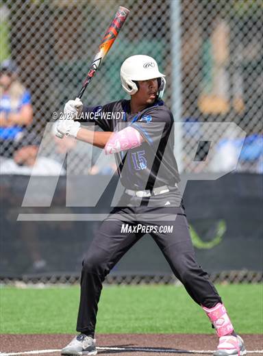 null - Photo 21