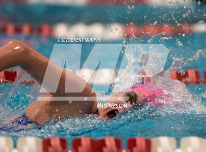 Thumbnail 1 in CHSAA 4A Girls Swimming - State Championship photogallery.