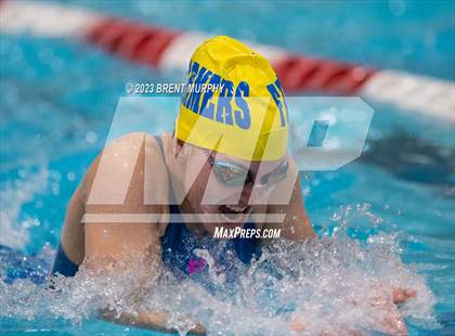 Thumbnail 2 in CHSAA 4A Girls Swimming - State Championship photogallery.