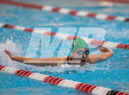 Thumbnail 1 in CHSAA 4A Girls Swimming - State Championship photogallery.