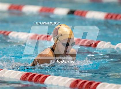 Thumbnail 1 in CHSAA 4A Girls Swimming - State Championship photogallery.