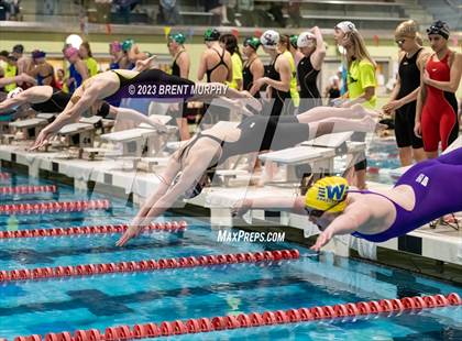 Thumbnail 1 in CHSAA 4A Girls Swimming - State Championship photogallery.