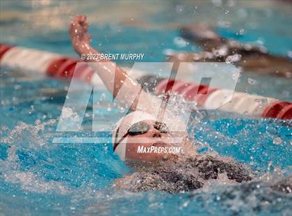 Thumbnail 1 in CHSAA 4A Girls Swimming - State Championship photogallery.