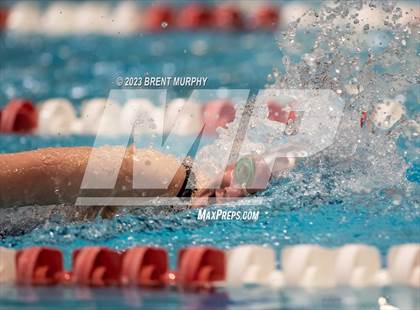 Thumbnail 2 in CHSAA 4A Girls Swimming - State Championship photogallery.