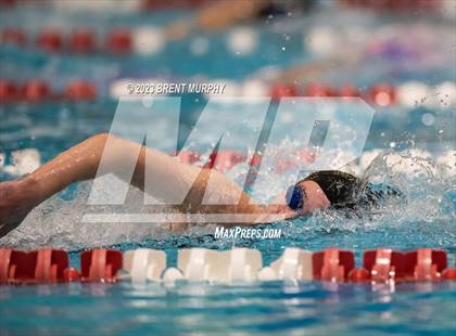 Thumbnail 1 in CHSAA 4A Girls Swimming - State Championship photogallery.