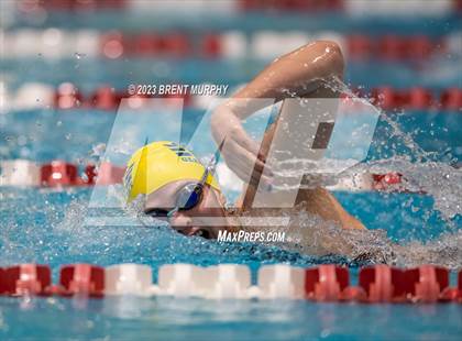 Thumbnail 2 in CHSAA 4A Girls Swimming - State Championship photogallery.