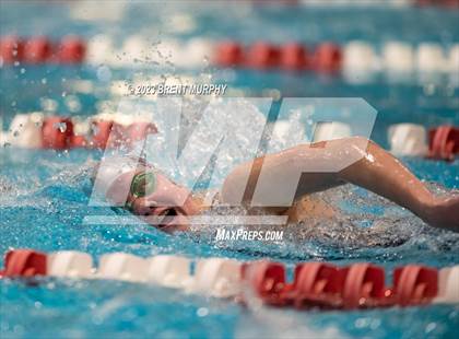 Thumbnail 3 in CHSAA 4A Girls Swimming - State Championship photogallery.