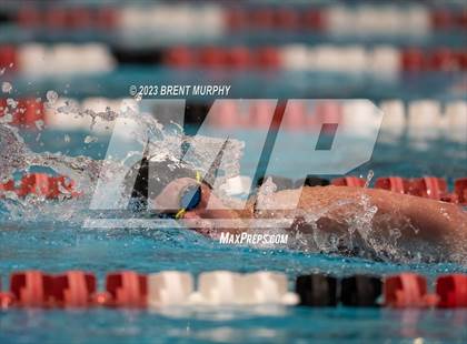 Thumbnail 1 in CHSAA 4A Girls Swimming - State Championship photogallery.