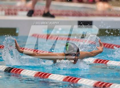 Thumbnail 2 in CHSAA 4A Girls Swimming - State Championship photogallery.