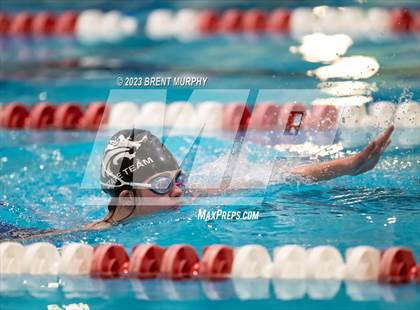 Thumbnail 3 in CHSAA 4A Girls Swimming - State Championship photogallery.