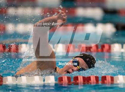 Thumbnail 1 in CHSAA 4A Girls Swimming - State Championship photogallery.