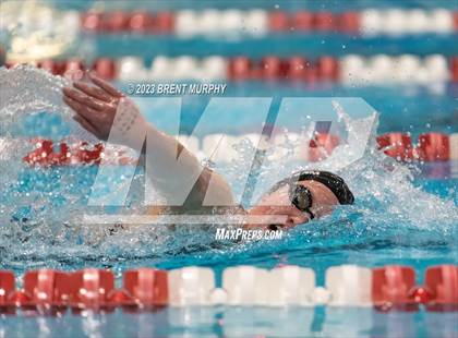 Thumbnail 1 in CHSAA 4A Girls Swimming - State Championship photogallery.