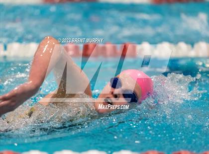 Thumbnail 2 in CHSAA 4A Girls Swimming - State Championship photogallery.