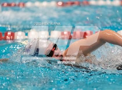 Thumbnail 1 in CHSAA 4A Girls Swimming - State Championship photogallery.