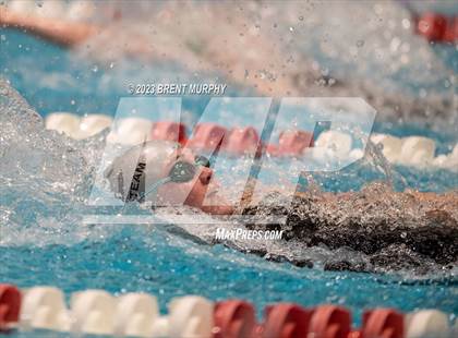Thumbnail 2 in CHSAA 4A Girls Swimming - State Championship photogallery.