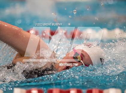 Thumbnail 2 in CHSAA 4A Girls Swimming - State Championship photogallery.
