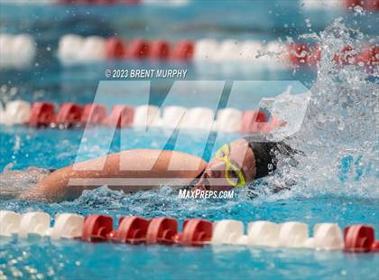 Thumbnail 2 in CHSAA 4A Girls Swimming - State Championship photogallery.