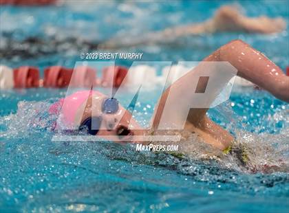 Thumbnail 1 in CHSAA 4A Girls Swimming - State Championship photogallery.