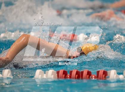 Thumbnail 1 in CHSAA 4A Girls Swimming - State Championship photogallery.