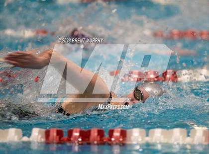 Thumbnail 3 in CHSAA 4A Girls Swimming - State Championship photogallery.