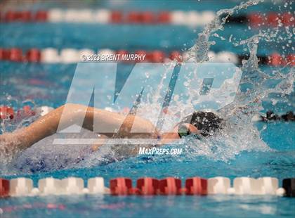 Thumbnail 1 in CHSAA 4A Girls Swimming - State Championship photogallery.