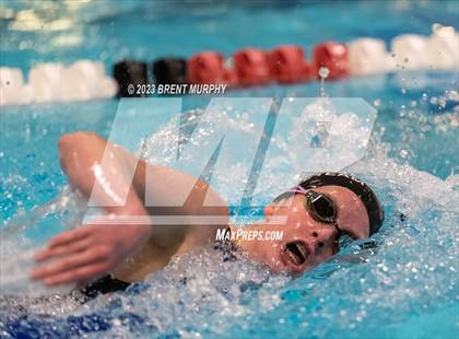 Thumbnail 2 in CHSAA 4A Girls Swimming - State Championship photogallery.