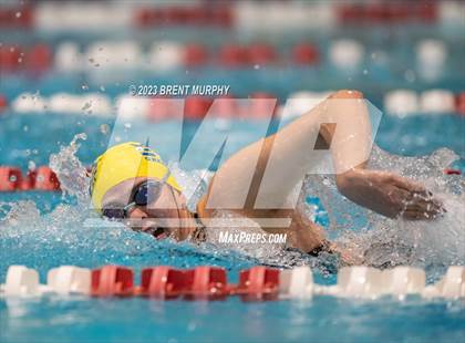 Thumbnail 3 in CHSAA 4A Girls Swimming - State Championship photogallery.