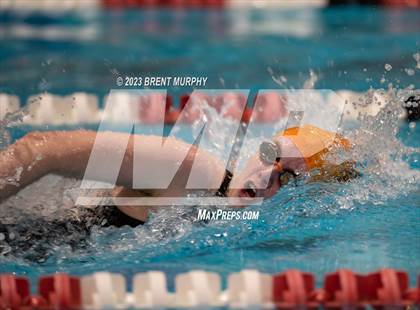 Thumbnail 3 in CHSAA 4A Girls Swimming - State Championship photogallery.