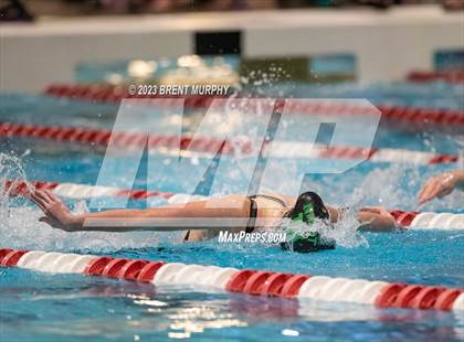Thumbnail 3 in CHSAA 4A Girls Swimming - State Championship photogallery.