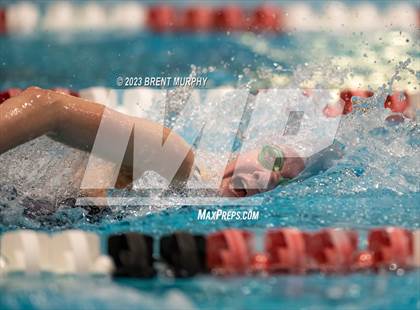 Thumbnail 1 in CHSAA 4A Girls Swimming - State Championship photogallery.