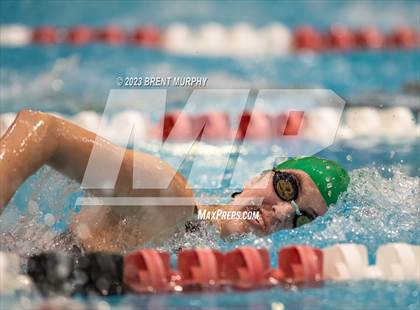 Thumbnail 1 in CHSAA 4A Girls Swimming - State Championship photogallery.