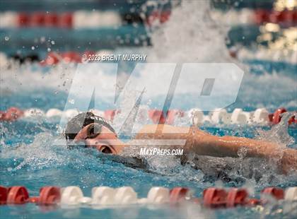 Thumbnail 1 in CHSAA 4A Girls Swimming - State Championship photogallery.