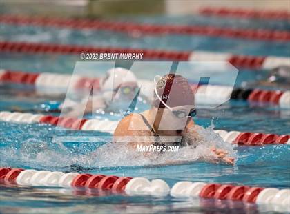 Thumbnail 2 in CHSAA 4A Girls Swimming - State Championship photogallery.