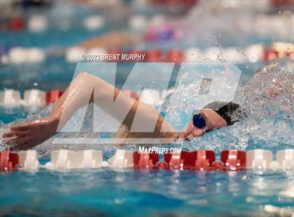 Thumbnail 1 in CHSAA 4A Girls Swimming - State Championship photogallery.