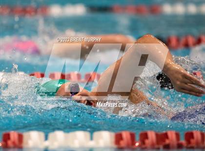 Thumbnail 3 in CHSAA 4A Girls Swimming - State Championship photogallery.
