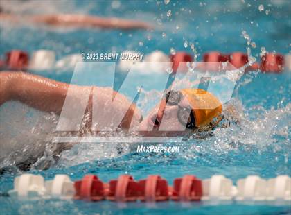Thumbnail 3 in CHSAA 4A Girls Swimming - State Championship photogallery.