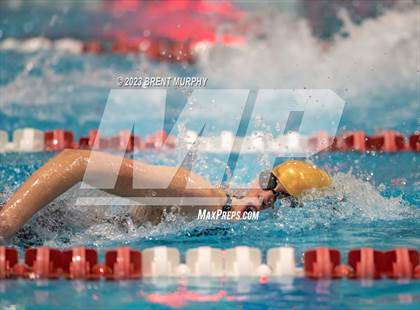 Thumbnail 3 in CHSAA 4A Girls Swimming - State Championship photogallery.