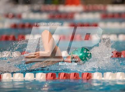 Thumbnail 3 in CHSAA 4A Girls Swimming - State Championship photogallery.