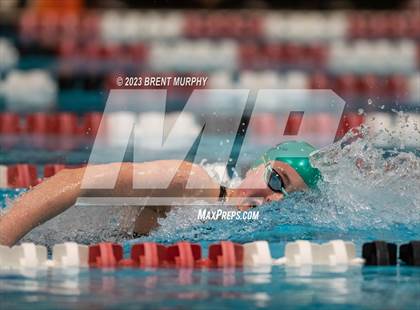 Thumbnail 1 in CHSAA 4A Girls Swimming - State Championship photogallery.