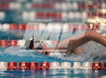 Thumbnail 3 in CHSAA 4A Girls Swimming - State Championship photogallery.