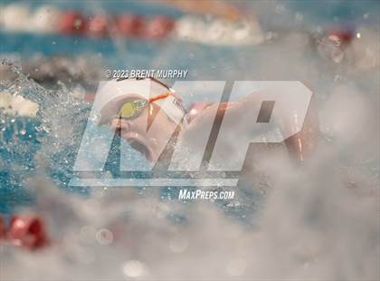 Thumbnail 1 in CHSAA 4A Girls Swimming - State Championship photogallery.
